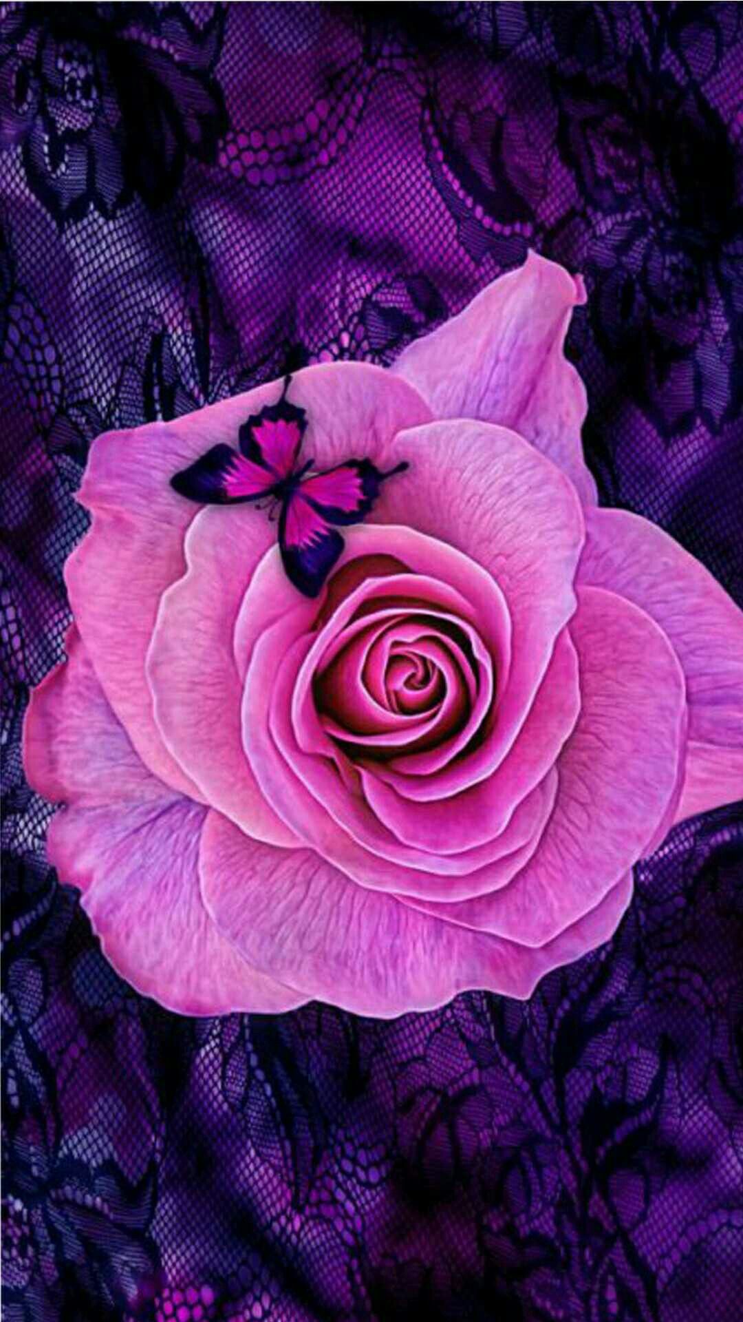 Tổng hợp hình ảnh hoa hồng tím đẹp nhất - [Kích thước hình ảnh: 1080x1920 px]