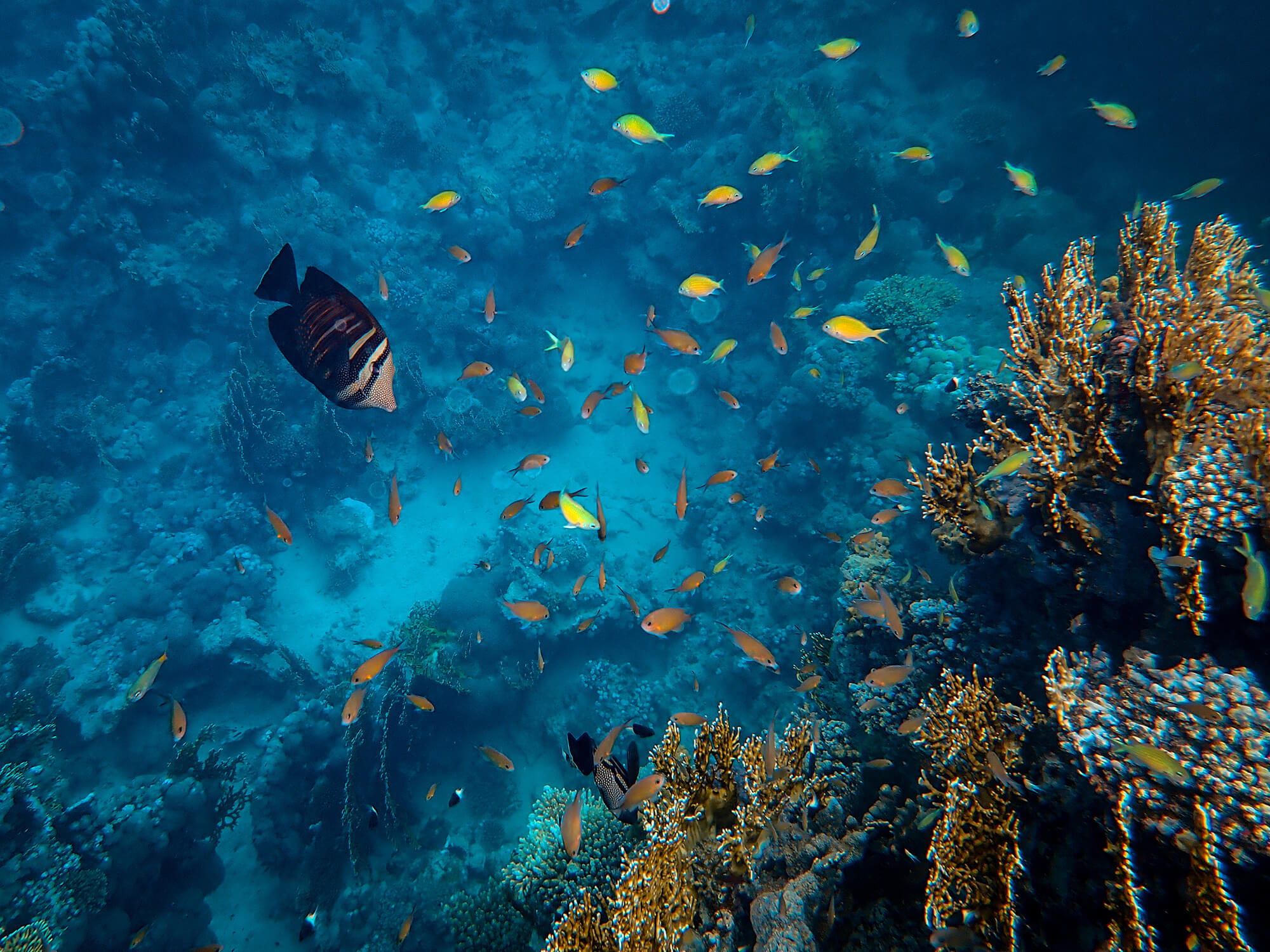 Khám phá đại dương rộng lớn qua góc nhìn nghệ thuật của nhiếp ảnh gia - [Kích thước hình ảnh: 2000x1500 px]