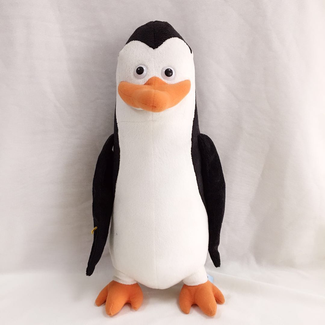 Tổng hợp các hình ảnh về chim cánh cụt dễ thương – Đặc điểm của loài chim cánh cụt - [Kích thước hình ảnh: 1080x1080 px]