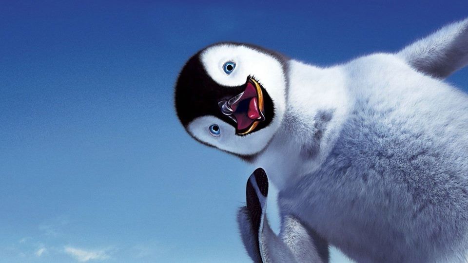 Tổng hợp các hình ảnh về chim cánh cụt dễ thương – Đặc điểm của loài chim cánh cụt - [Kích thước hình ảnh: 960x540 px]