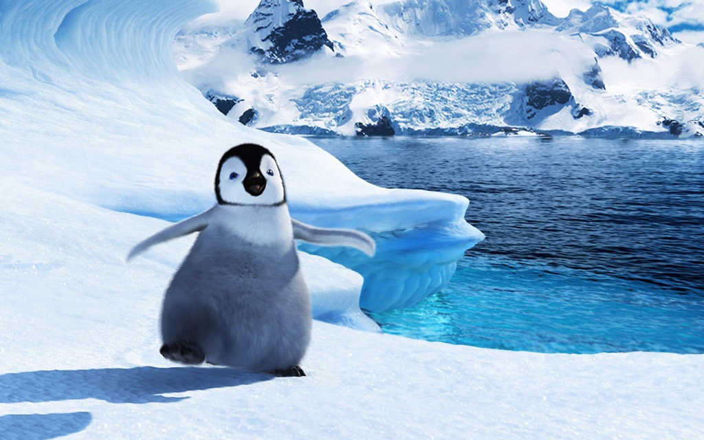 Tổng hợp các hình ảnh về chim cánh cụt dễ thương – Đặc điểm của loài chim cánh cụt - [Kích thước hình ảnh: 1024x640 px]