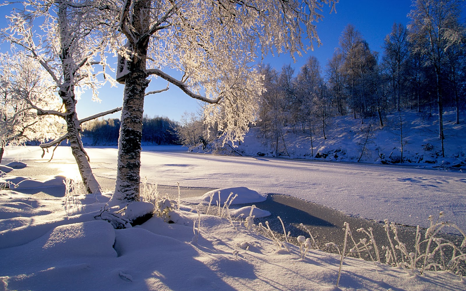 Top 50 hình ảnh phong cảnh mùa đông làm hình nền đẹp - [Kích thước hình ảnh: 1600x1000 px]