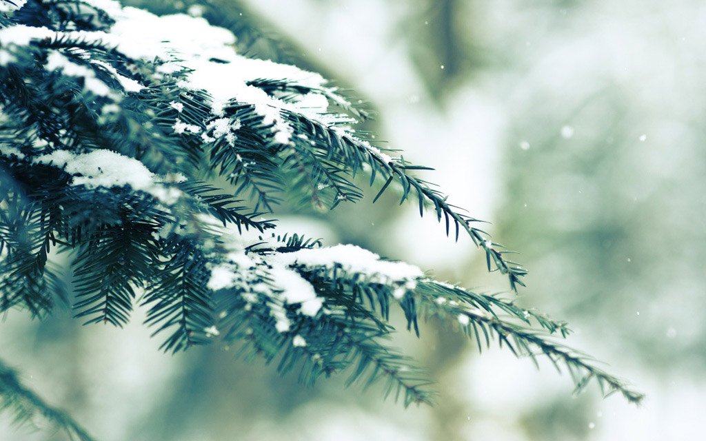 Top 50 hình ảnh phong cảnh mùa đông làm hình nền đẹp - [Kích thước hình ảnh: 1024x640 px]
