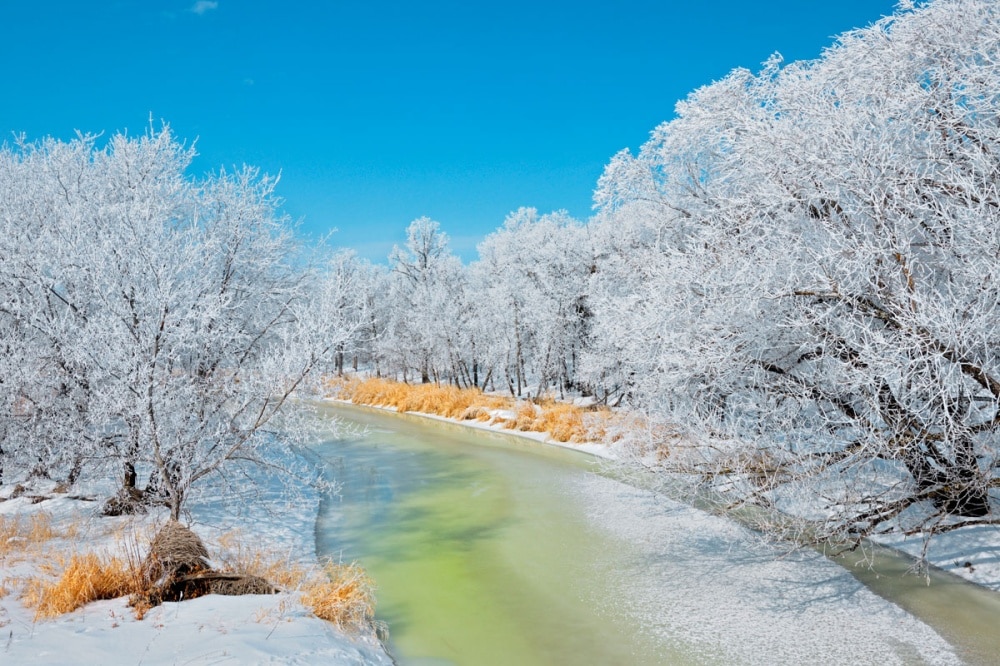 Top 50 hình ảnh phong cảnh mùa đông làm hình nền đẹp - [Kích thước hình ảnh: 1000x666 px]