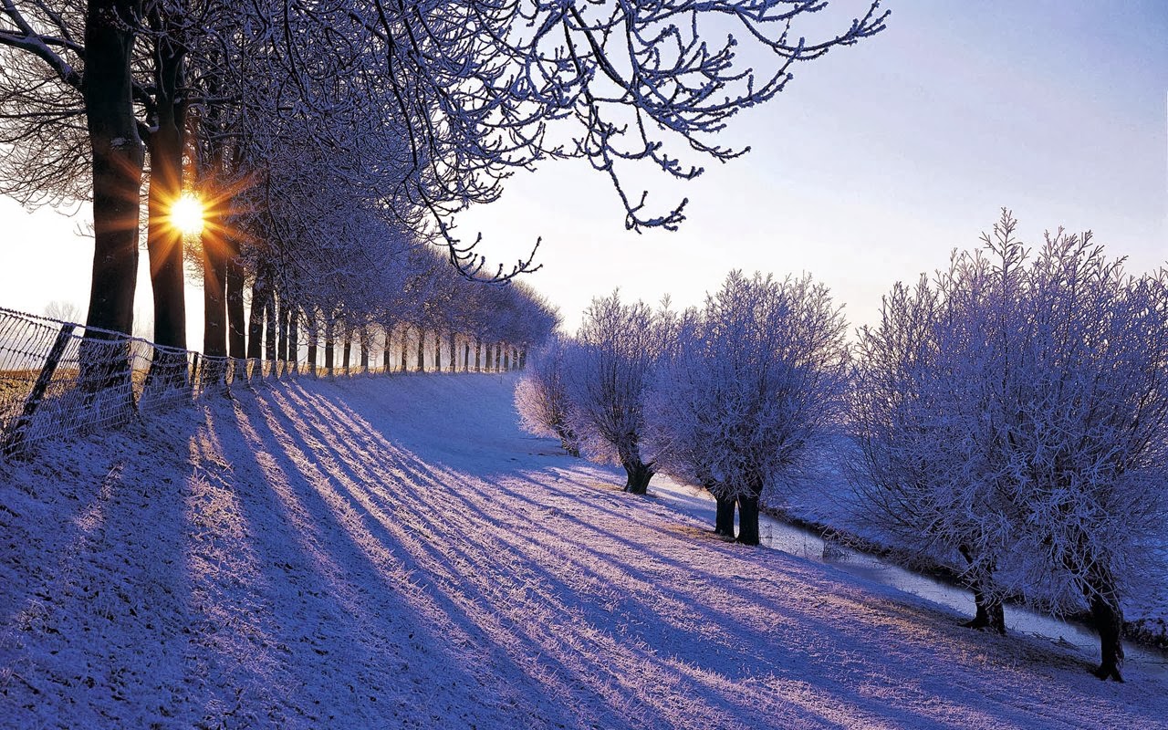 Top 50 hình ảnh phong cảnh mùa đông làm hình nền đẹp - [Kích thước hình ảnh: 1280x800 px]
