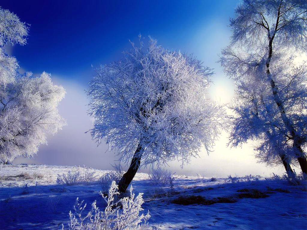 Top 50 hình ảnh phong cảnh mùa đông làm hình nền đẹp - [Kích thước hình ảnh: 1024x768 px]