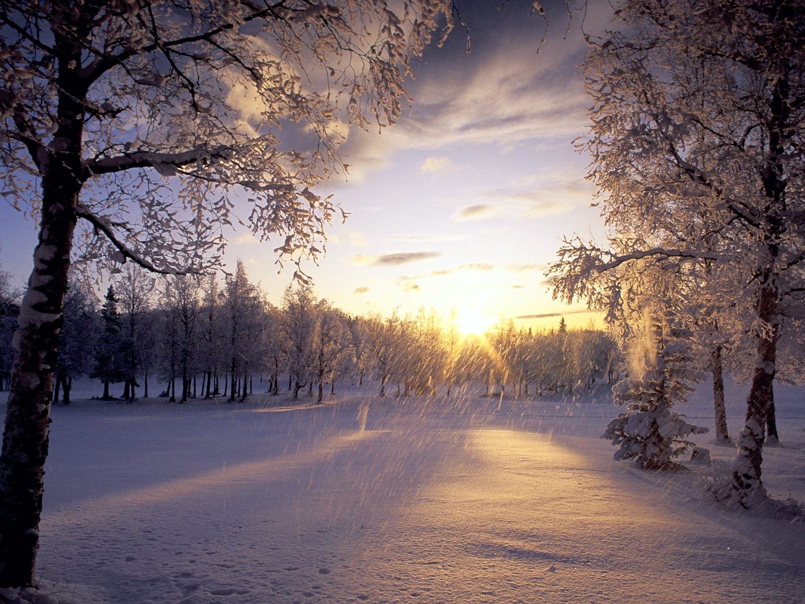 Top 50 hình ảnh phong cảnh mùa đông làm hình nền đẹp - [Kích thước hình ảnh: 1600x1200 px]
