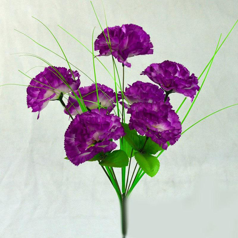 Tổng hợp hình ảnh hoa cẩm chướng tím đẹp nhất - [Kích thước hình ảnh: 800x800 px]