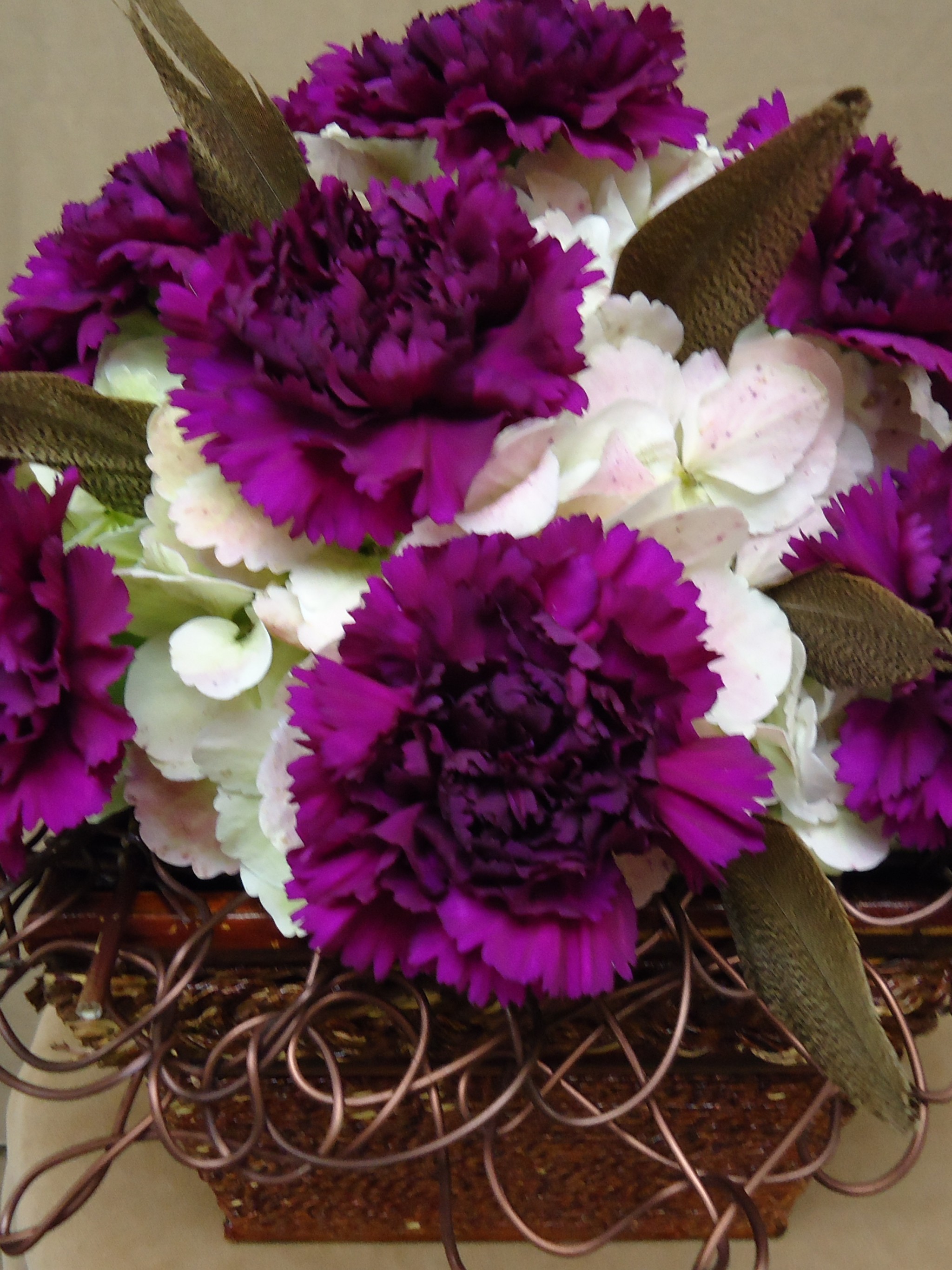 Tổng hợp hình ảnh hoa cẩm chướng tím đẹp nhất - [Kích thước hình ảnh: 2048x2732 px]
