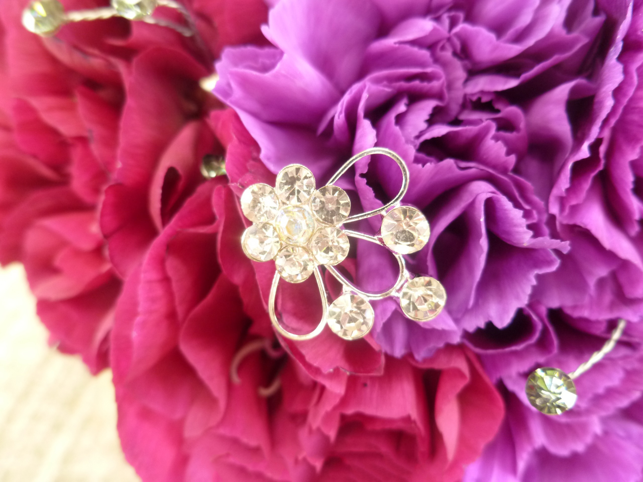 Tổng hợp hình ảnh hoa cẩm chướng tím đẹp nhất - [Kích thước hình ảnh: 2560x1920 px]