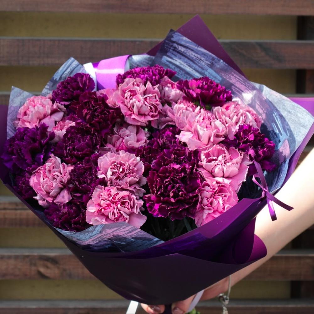 Tổng hợp hình ảnh hoa cẩm chướng tím đẹp nhất - [Kích thước hình ảnh: 1000x1000 px]