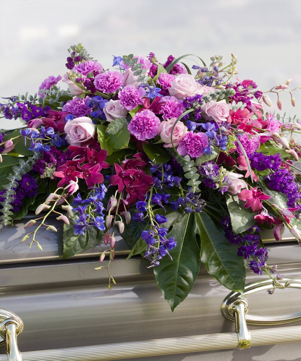 Tổng hợp hình ảnh hoa cẩm chướng tím đẹp nhất - [Kích thước hình ảnh: 1000x1200 px]