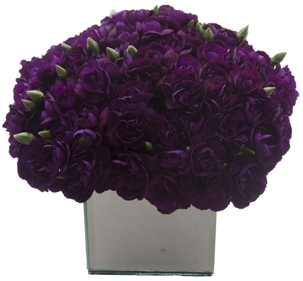 Tổng hợp hình ảnh hoa cẩm chướng tím đẹp nhất - [Kích thước hình ảnh: 1000x926 px]