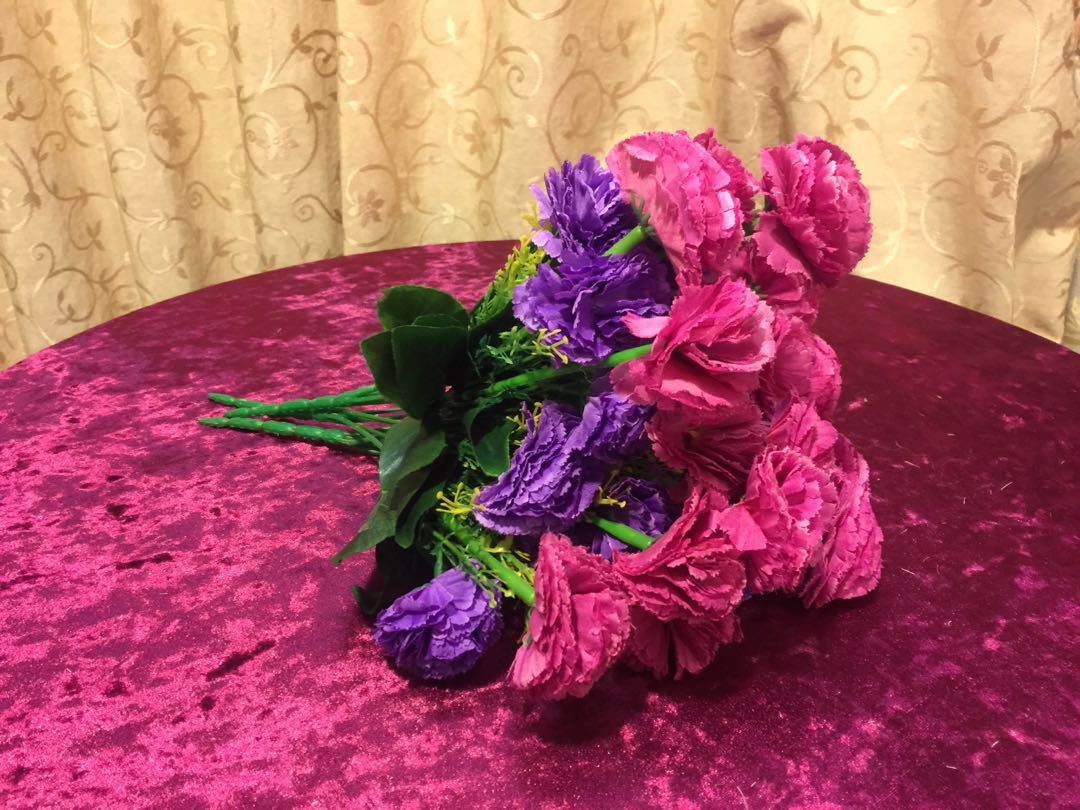 Tổng hợp hình ảnh hoa cẩm chướng tím đẹp nhất - [Kích thước hình ảnh: 1080x810 px]