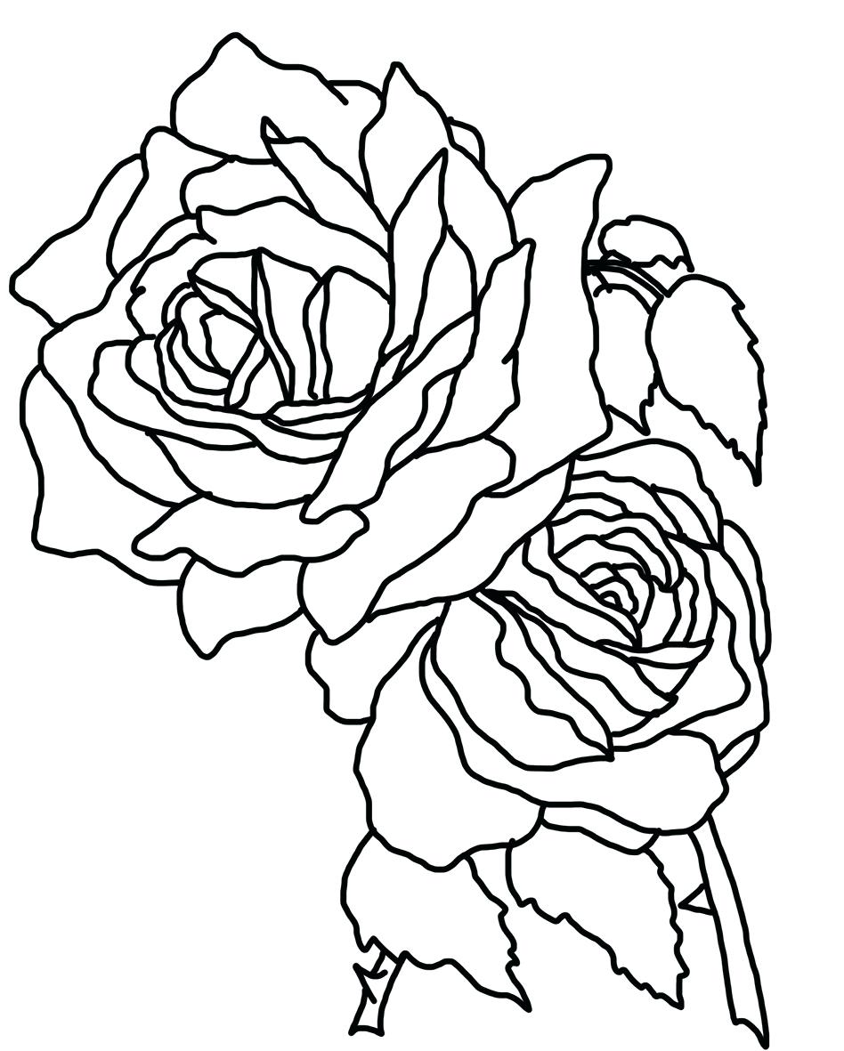 Tổng hợp các bức tranh tô màu hoa hồng đẹp nhất dành cho bé 948x1181