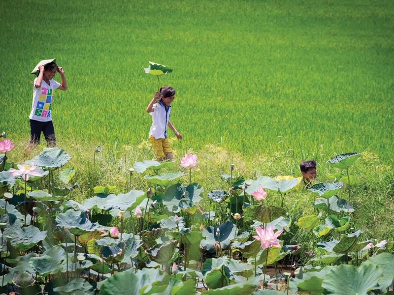 Tổng hợp những hình ảnh đẹp nhất của Đồng tháp Việt Nam - [Kích thước hình ảnh: 800x600 px]