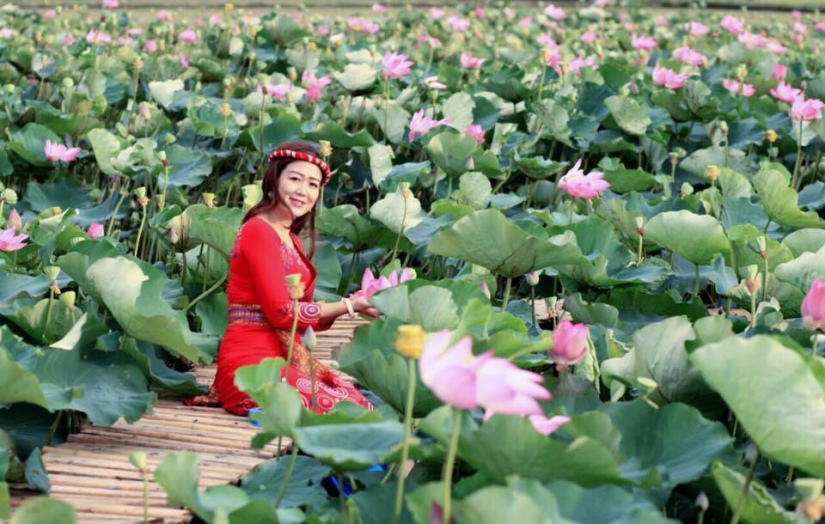 Tổng hợp những hình ảnh đẹp nhất của Đồng tháp Việt Nam - [Kích thước hình ảnh: 825x524 px]