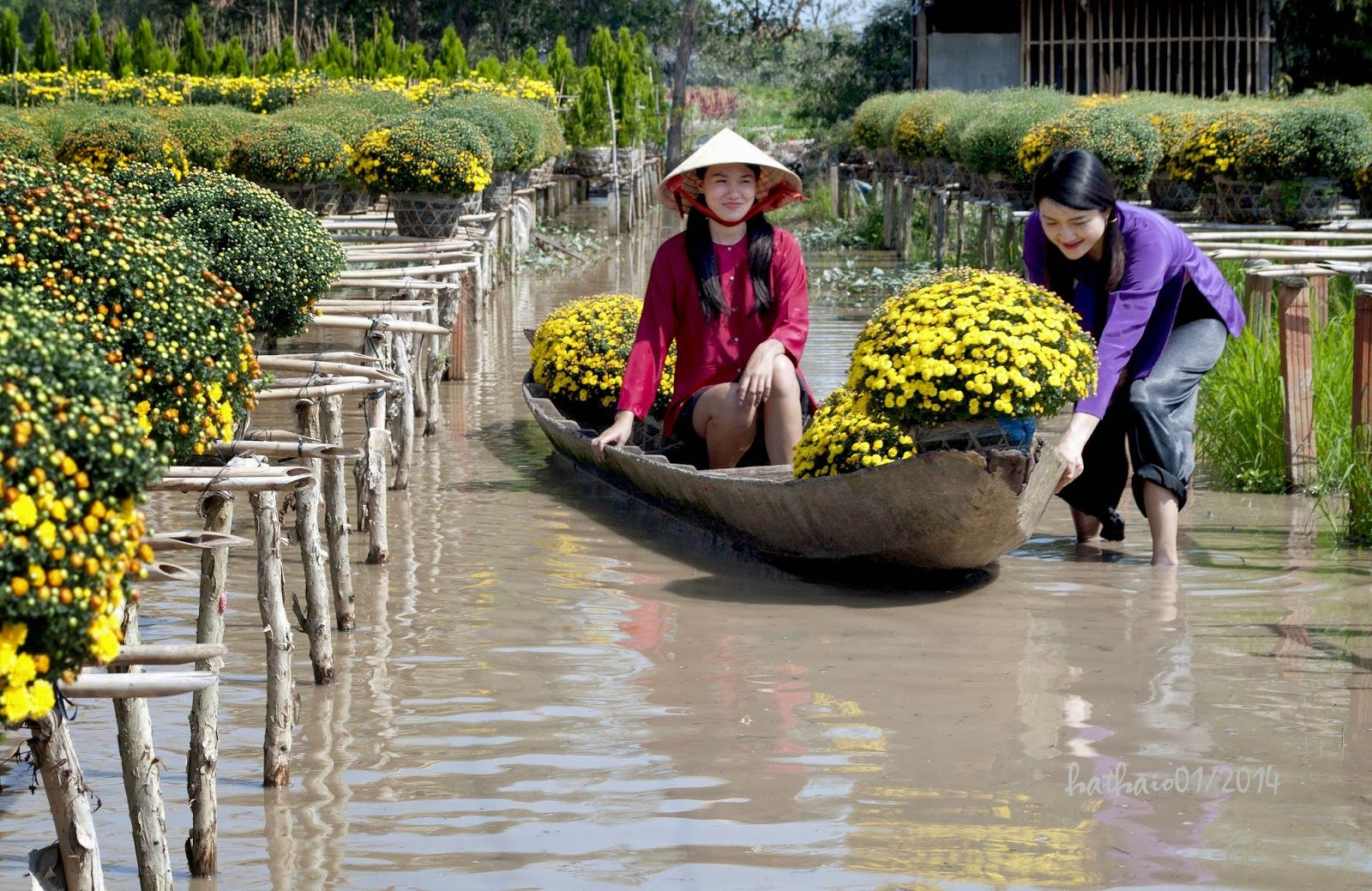 Tổng hợp những hình ảnh đẹp nhất của Đồng tháp Việt Nam - [Kích thước hình ảnh: 1600x1039 px]