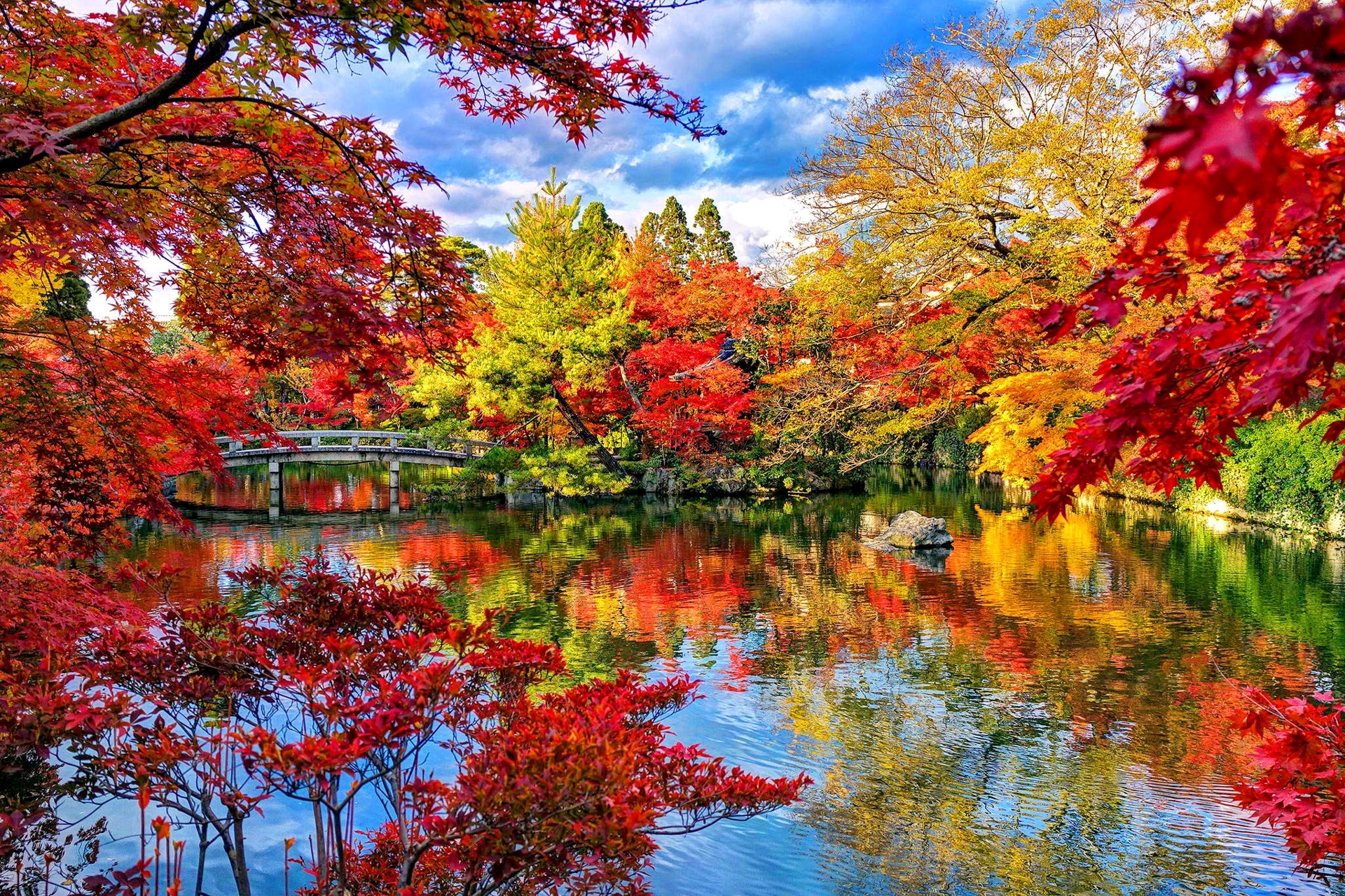 Bộ sưu tập hình nền mùa thu lá vàng đẹp và lãng mạn nhất - [Kích thước hình ảnh: 1920x1280 px]