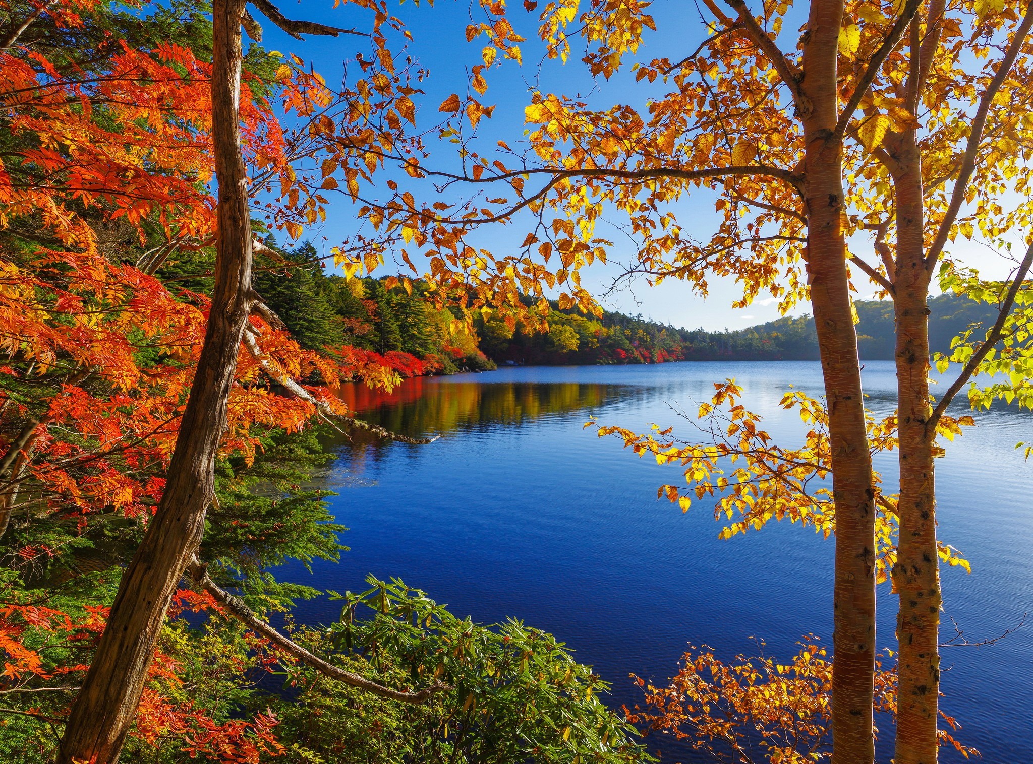 Bộ sưu tập hình nền mùa thu lá vàng đẹp và lãng mạn nhất - [Kích thước hình ảnh: 2048x1516 px]