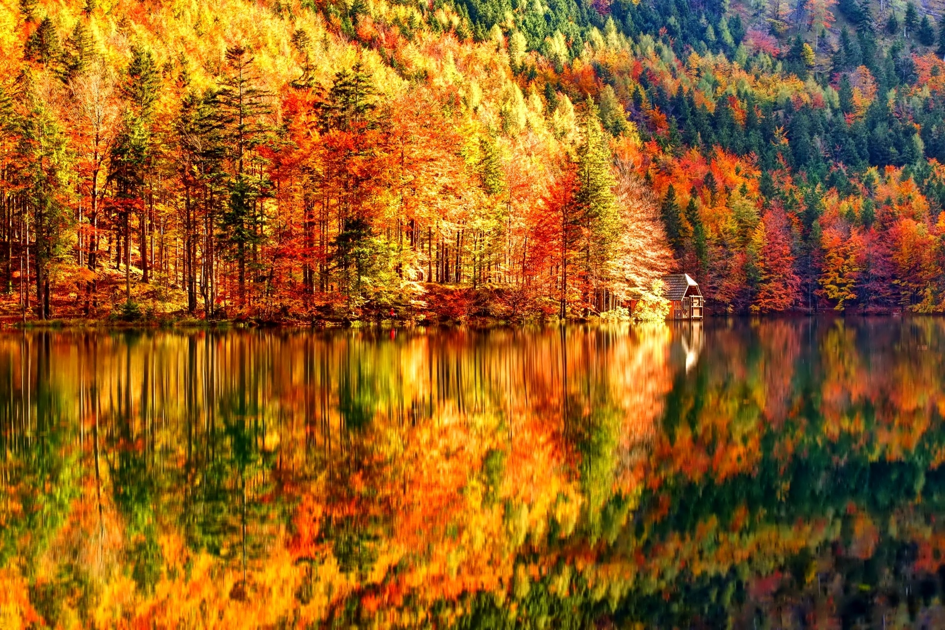 Bộ sưu tập hình nền mùa thu lá vàng đẹp và lãng mạn nhất - [Kích thước hình ảnh: 1920x1280 px]