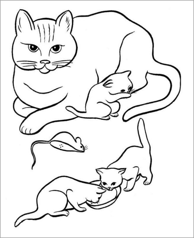 Tuyển tập 55+ mẫu tranh tô màu con mèo đáng yêu và đẹp nhất - [Kích thước hình ảnh: 654x800 px]