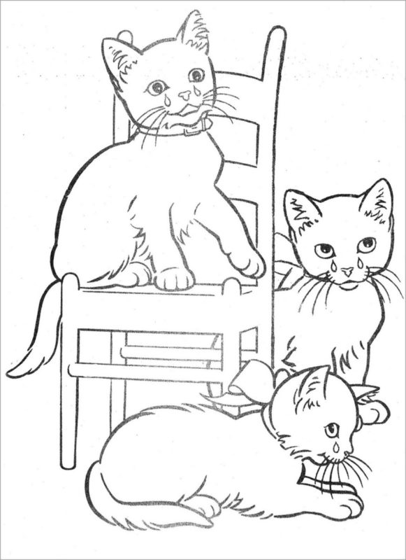 Tuyển tập 55+ mẫu tranh tô màu con mèo đáng yêu và đẹp nhất - [Kích thước hình ảnh: 581x800 px]
