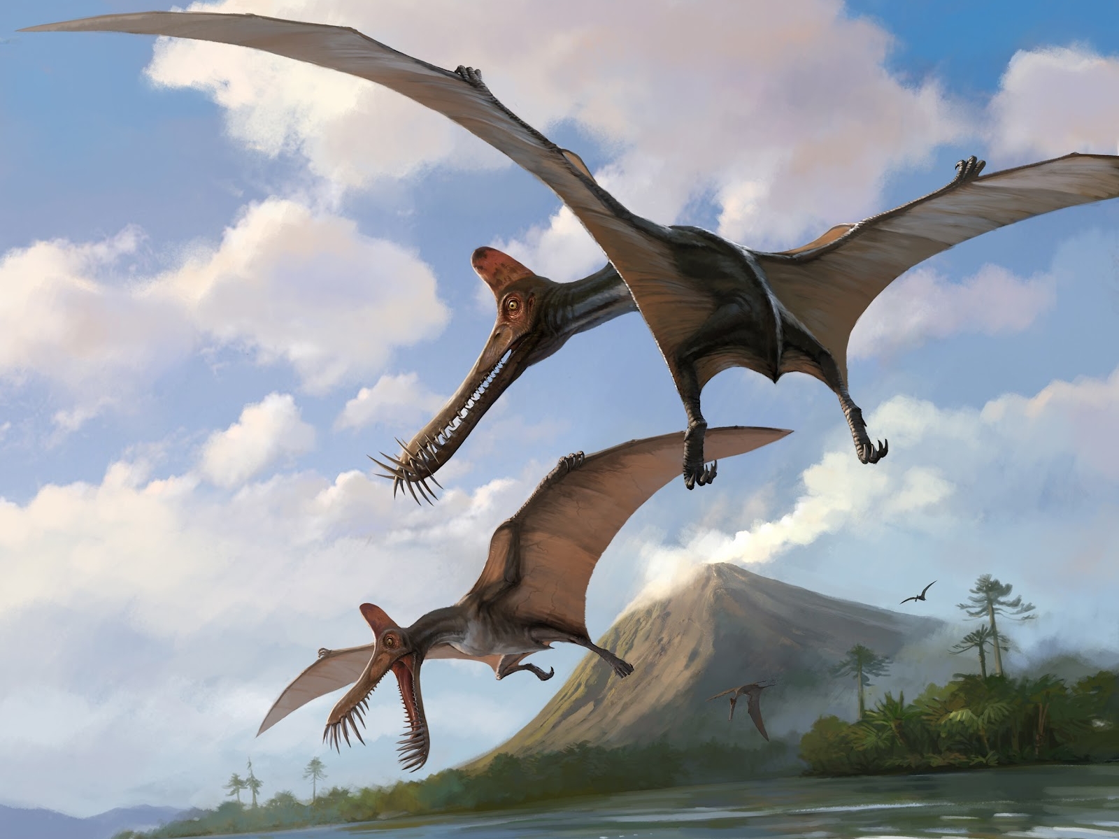 Hình nền khủng long thời tiền sử cực đẹp và sống động - [Kích thước hình ảnh: 1600x1200 px]