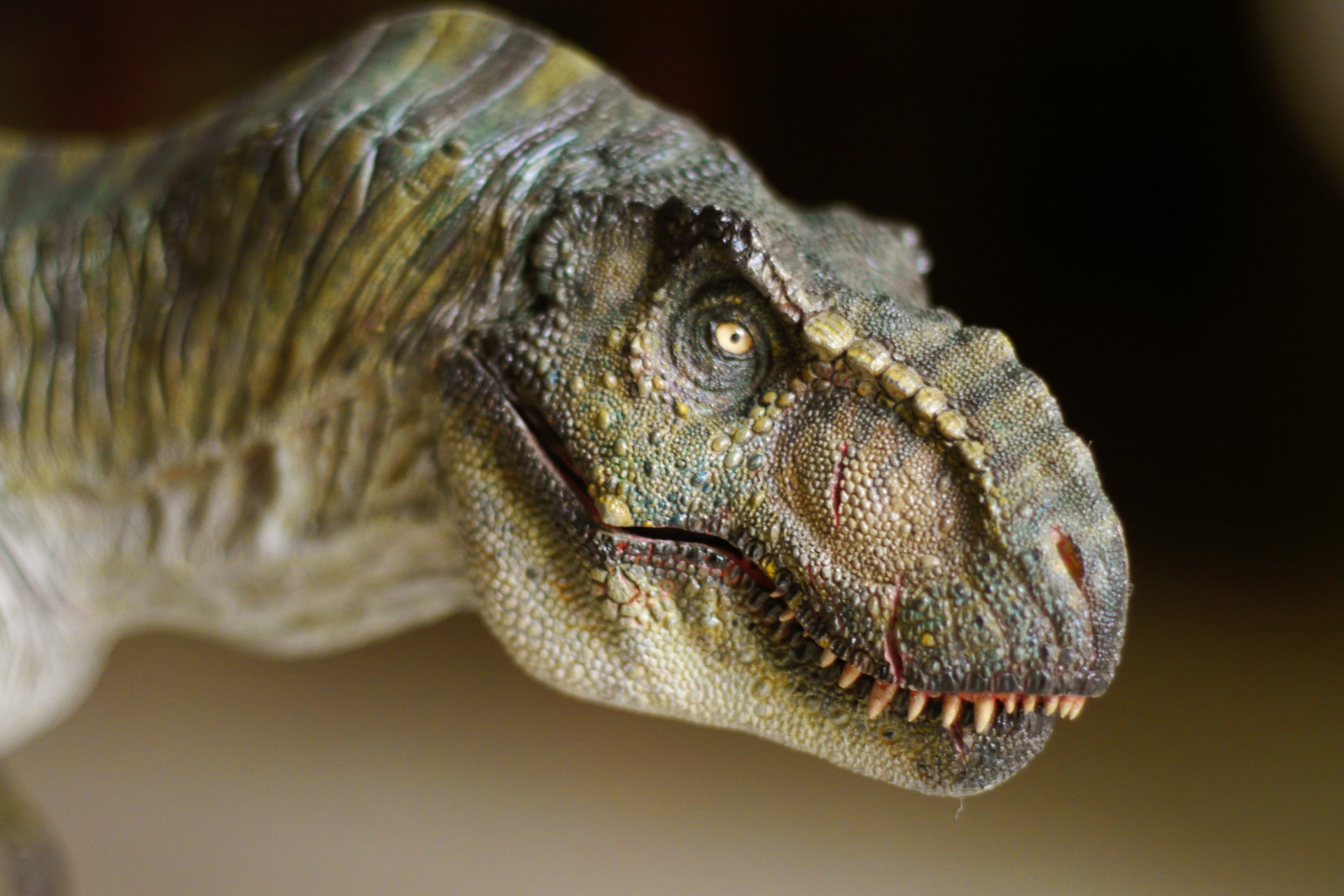 Hình nền khủng long thời tiền sử cực đẹp và sống động - [Kích thước hình ảnh: 1920x1280 px]