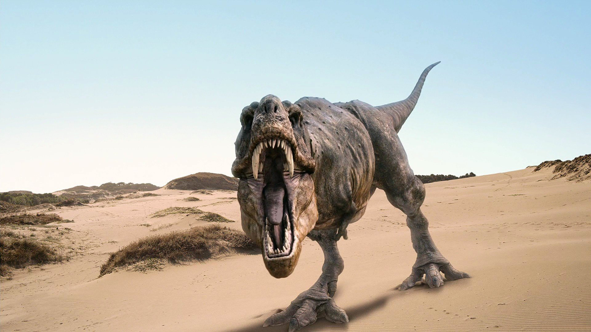 Hình nền khủng long thời tiền sử cực đẹp và sống động - [Kích thước hình ảnh: 1920x1080 px]