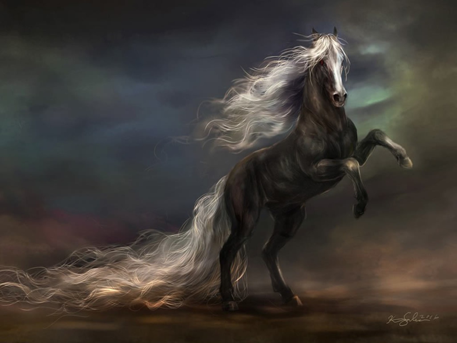 Bộ sưu tập hình ảnh đàn ngựa phi đẹp nhất thế giới - [Kích thước hình ảnh: 1600x1200 px]