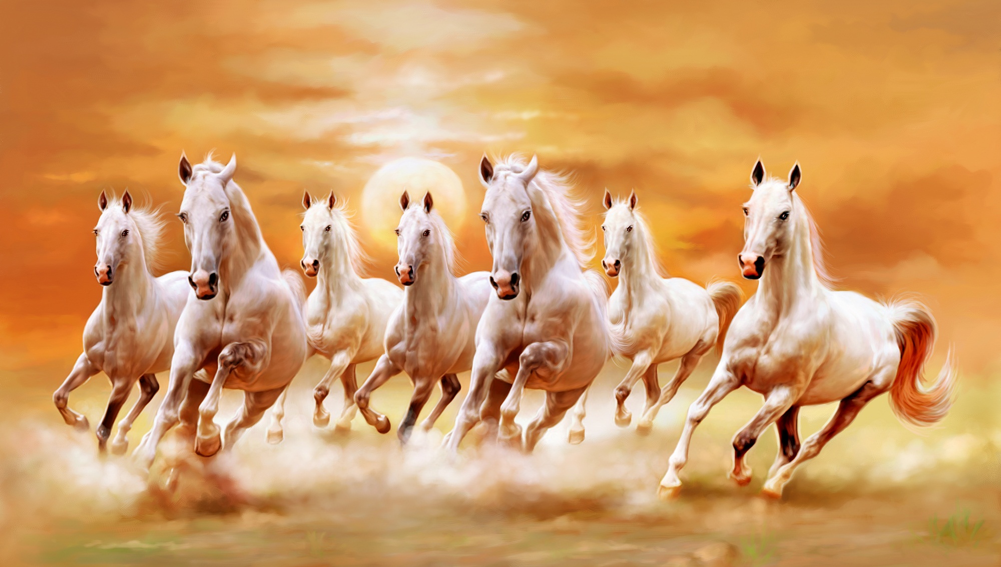 Bộ sưu tập hình ảnh đàn ngựa phi đẹp nhất thế giới - [Kích thước hình ảnh: 2000x1133 px]
