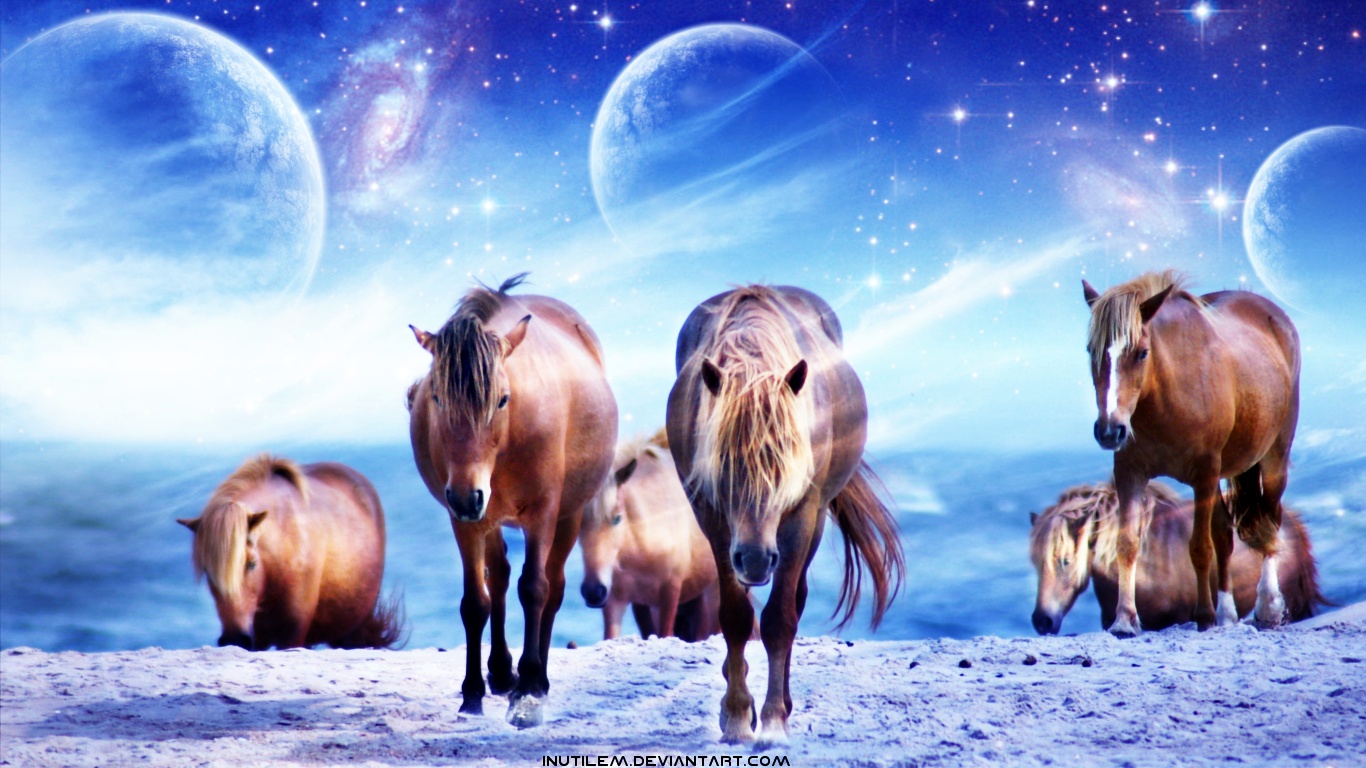 Bộ sưu tập hình ảnh đàn ngựa phi đẹp nhất thế giới - [Kích thước hình ảnh: 1366x768 px]