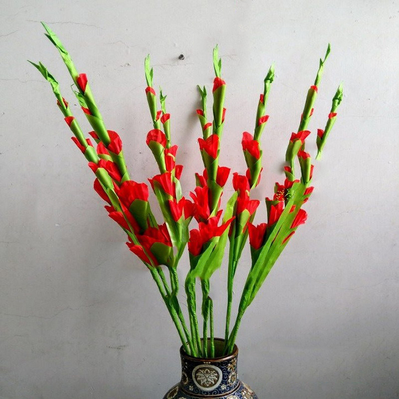 Tuyển tập hình ảnh hoa lay ơn đỏ đẹp nhất - [Kích thước hình ảnh: 800x800 px]