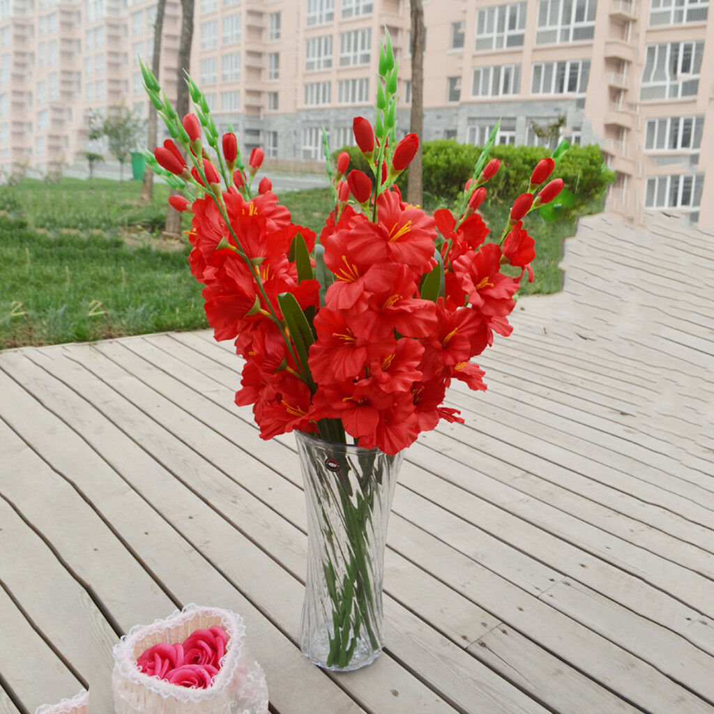 Tuyển tập hình ảnh hoa lay ơn đỏ đẹp nhất - [Kích thước hình ảnh: 1024x1024 px]