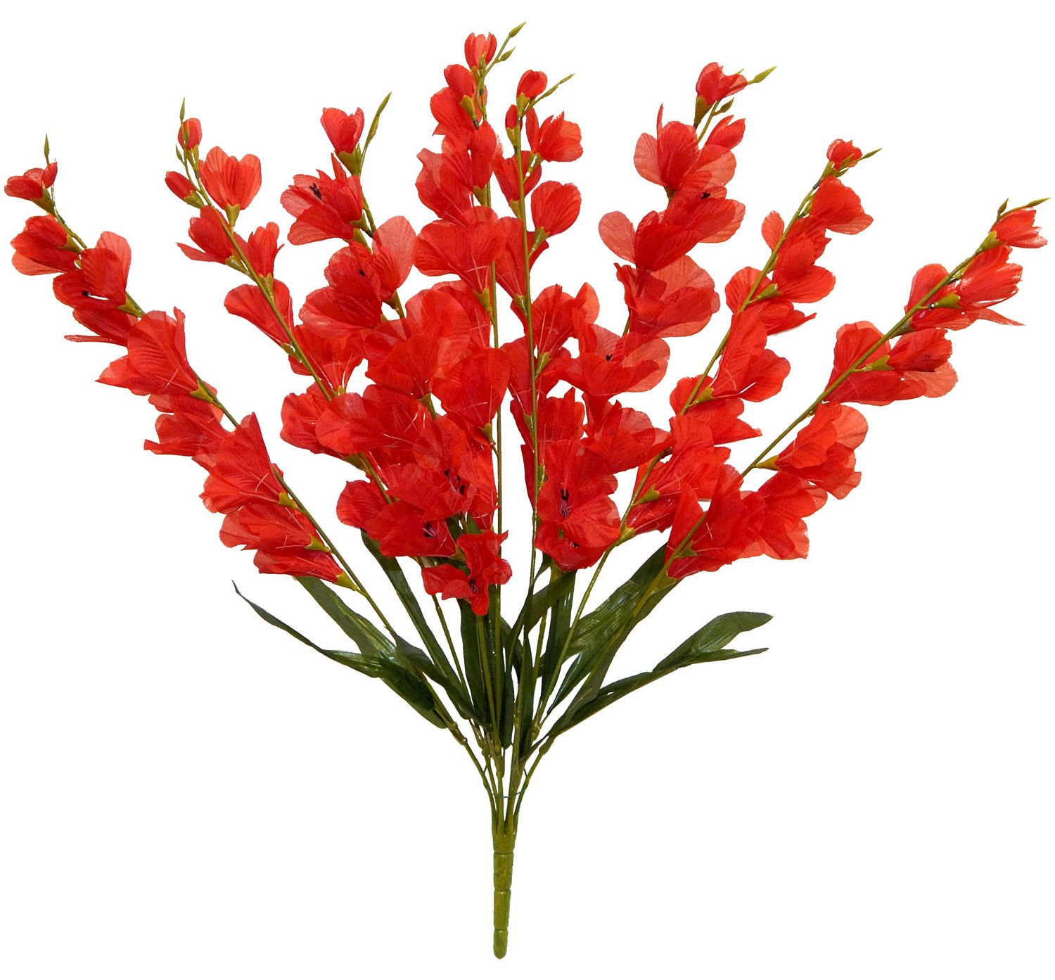 Tuyển tập hình ảnh hoa lay ơn đỏ đẹp nhất - [Kích thước hình ảnh: 1500x1393 px]