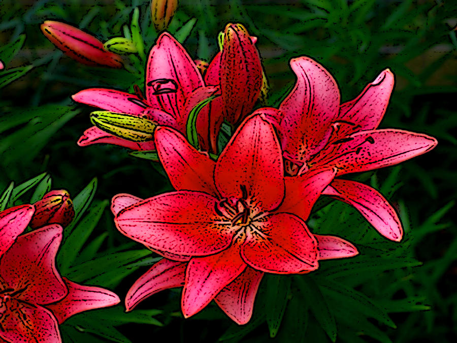Tuyển tập hình ảnh hoa loa kèn đỏ đẹp nhất - [Kích thước hình ảnh: 900x675 px]