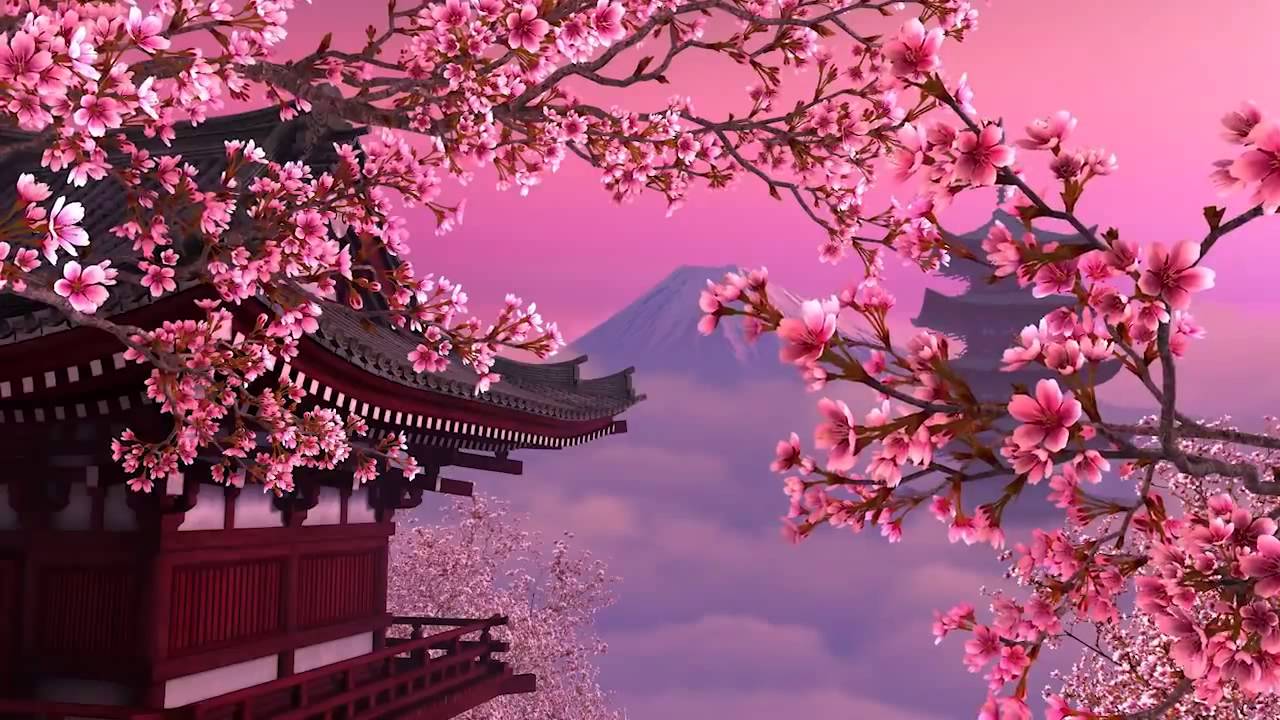 50 hình nền hoa anh đào Nhật Bản siêu đẹp và lãng mạn - [Kích thước hình ảnh: 1280x720 px]