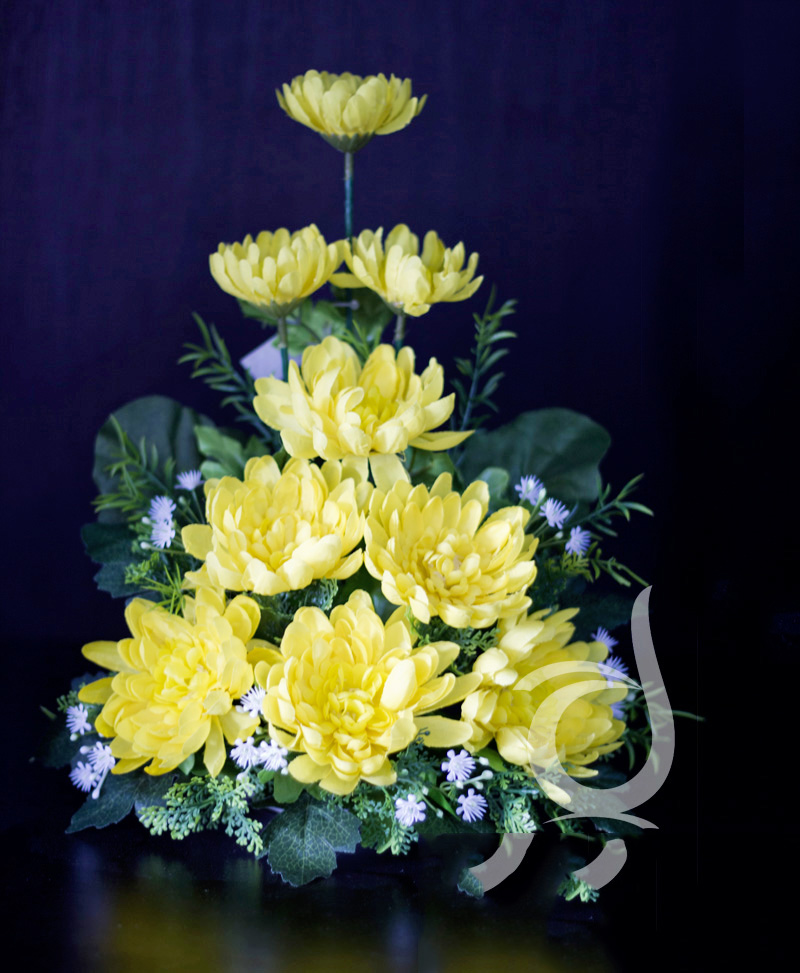 Tuyển tập hình ảnh hoa cúc vàng đẹp nhất – Loài hoa mộc mạc, thiêng liêng - [Kích thước hình ảnh: 800x973 px]