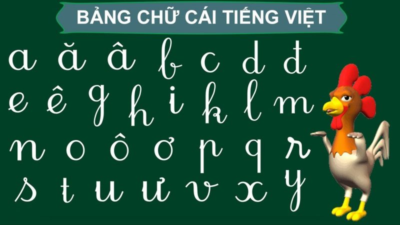 Tranhto24h: Hình bảng chữ cái tiếng Việt có chú gà, 800x450px