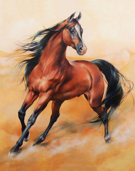 Tranhto24h: Hình ảnh con ngựa vẽ, 474x600px