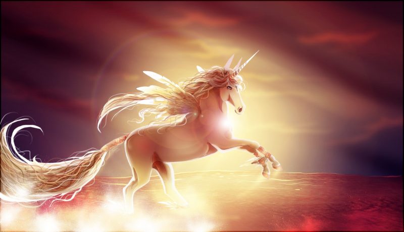 Tranhto24h: Hình nền Ngựa Unicorn, 800x460px