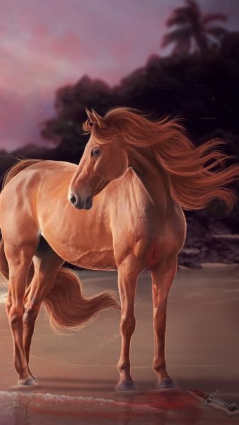 Tranhto24h: Hình nền con ngựa bằng tranh vẽ, 338x600px