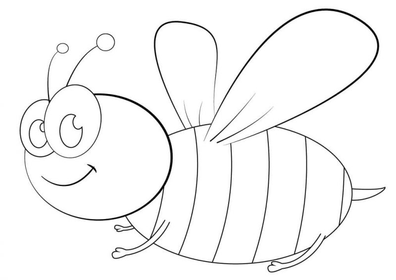 Tranhto24h: Hình tô màu con ong xoè cánh rộng, 800x566px