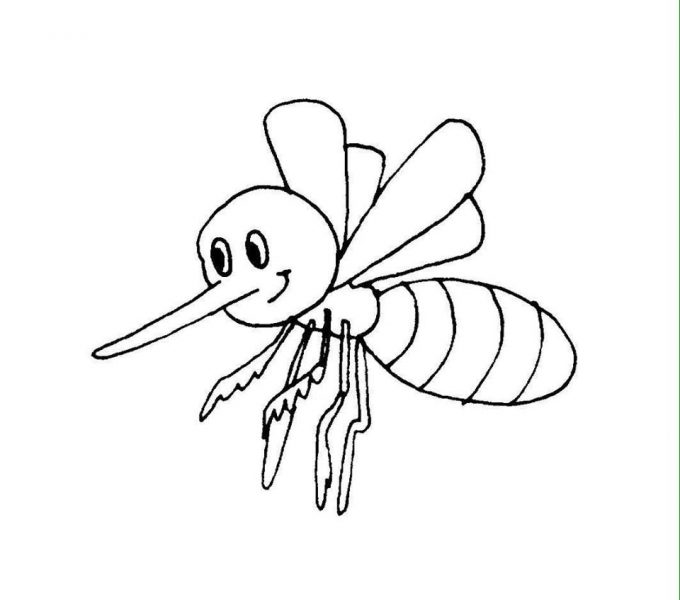 Tranhto24h: Hình tô màu con ong vòi dài, 680x600px