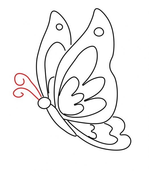 Tranhto24h: Vẽ con bướm, 523x600px
