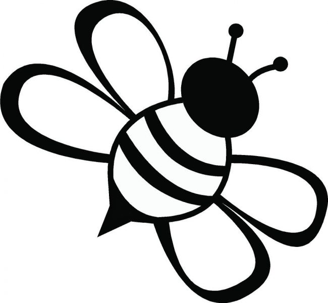 Tranhto24h: Hình tô màu con ong đầu đen, 650x600px