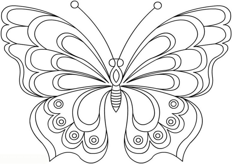 Tranhto24h: Tranh tô màu con bướm, 797x564px