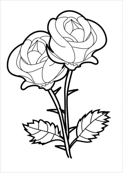 Tranhto24h: Hoa hồng tô màu cho bé tô luyện, 426x600px