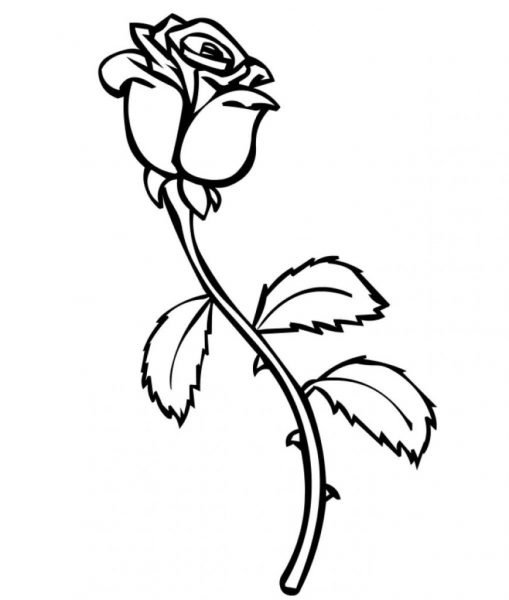 Tranhto24h: Tranh tô màu hoa hồng nghiêng mình, 509x600px
